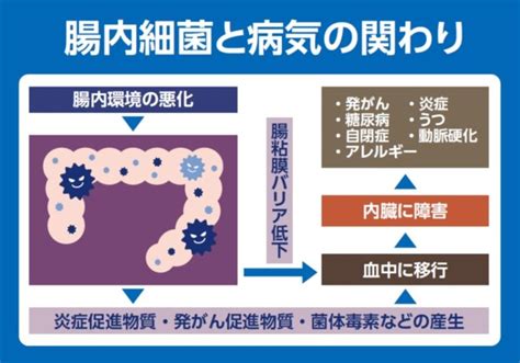 ポリープの大腸がん化に腸内細菌が関係していた 家族性大腸腺 .